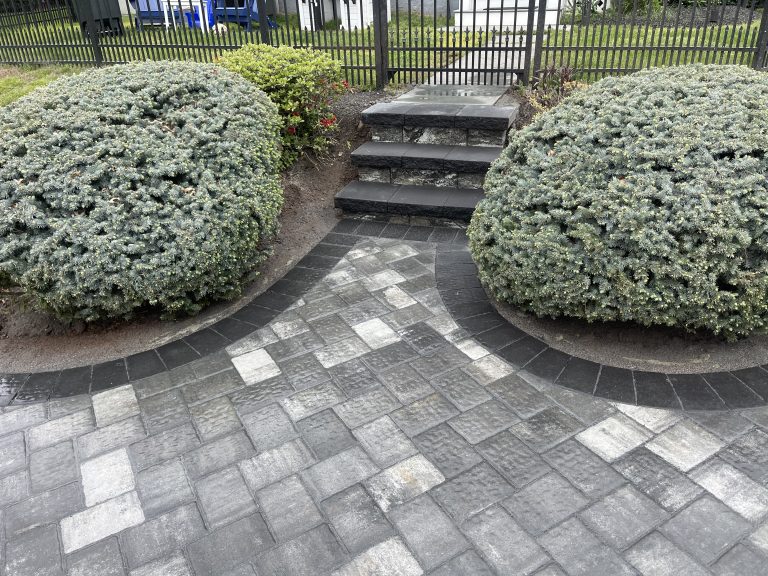 B5560A0D C456 4A3F 960D DDAB775489CC